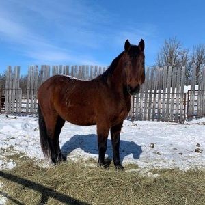 Meet your Posher, Robert